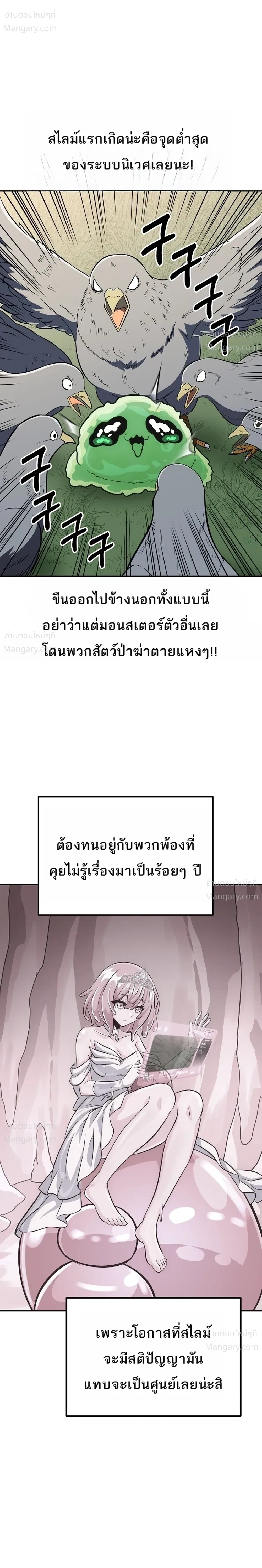 หน้า 39 จาก 47