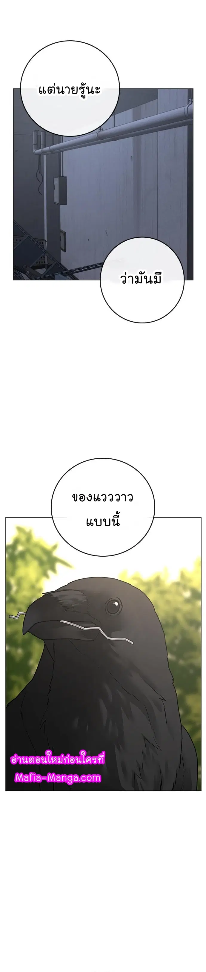 หน้า 30 จาก 58