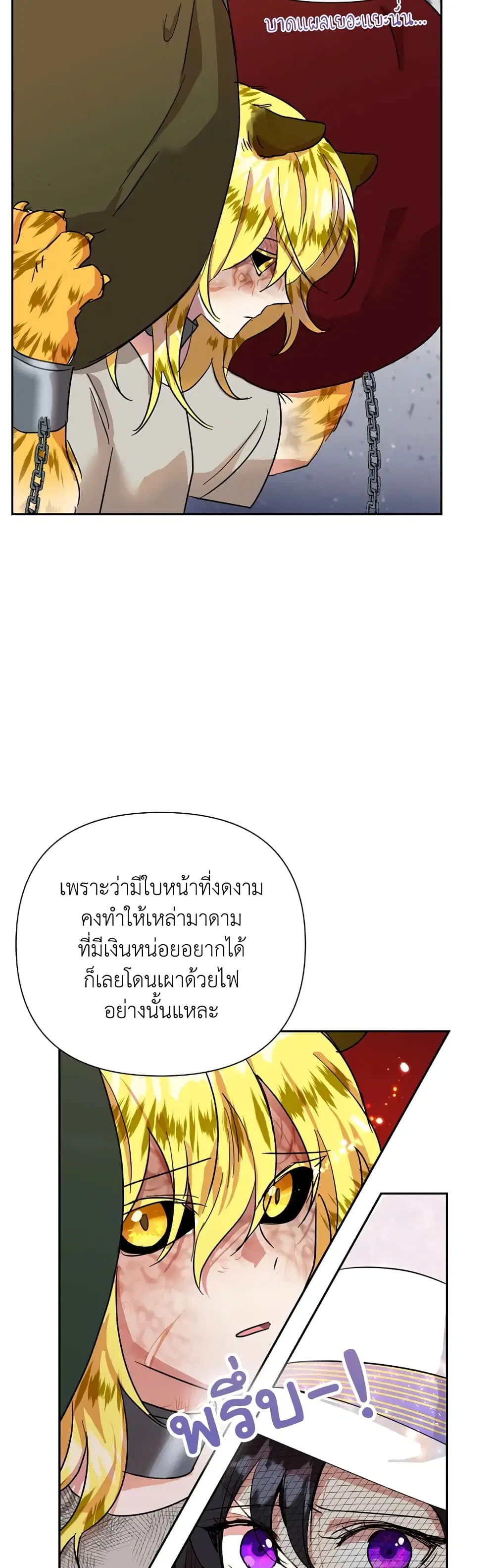 หน้า 12 จาก 42