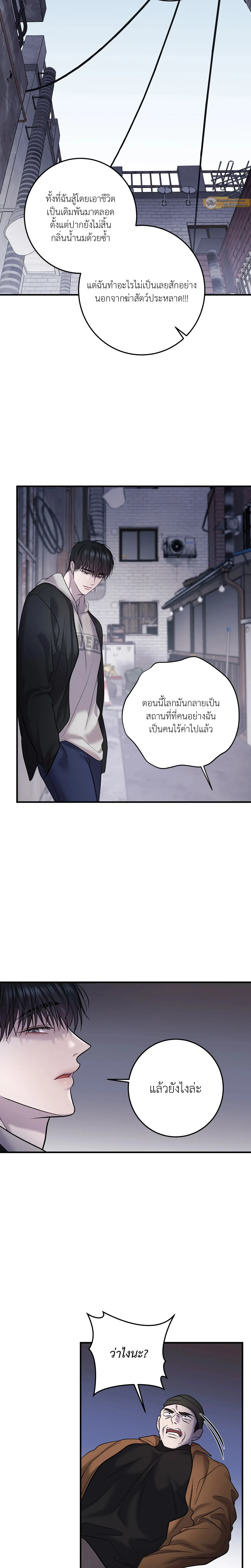 หน้า 11 จาก 22