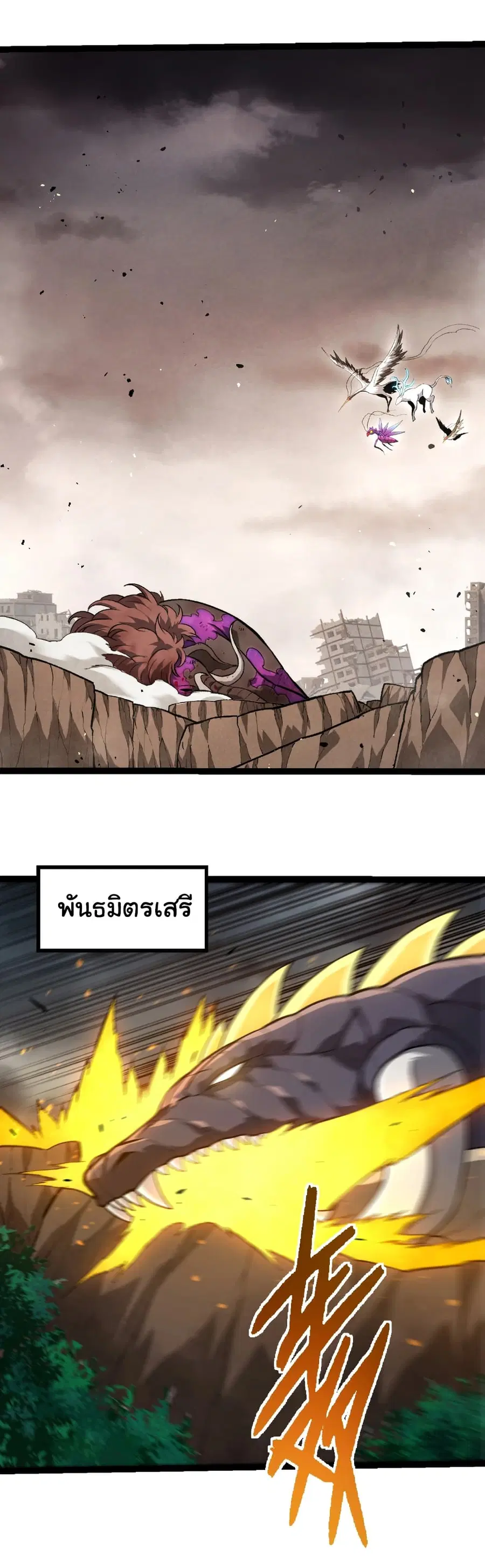 หน้า 12 จาก 29