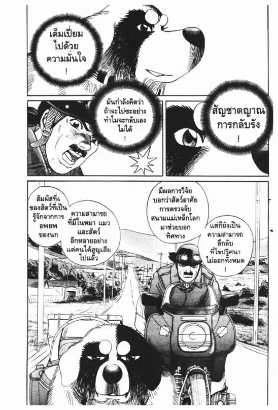 หน้า 11 จาก 19