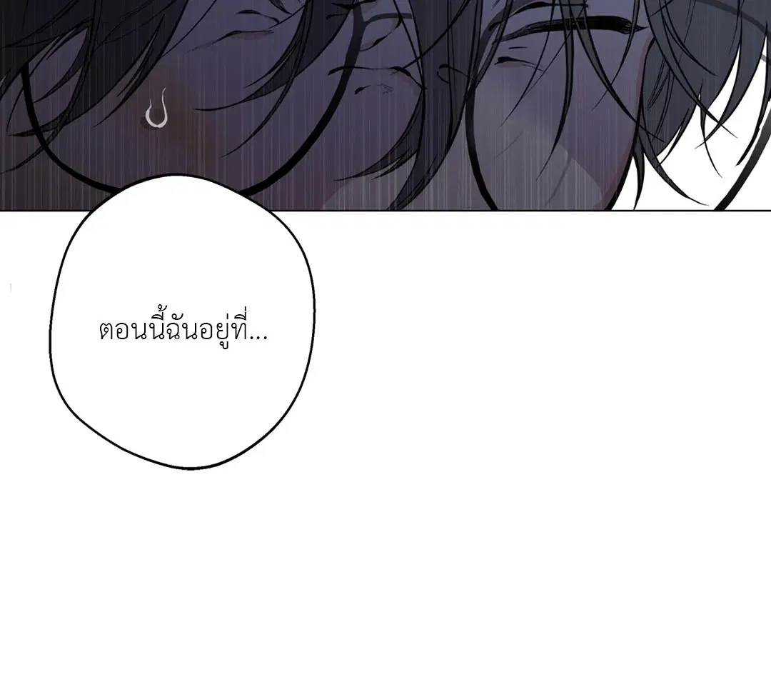 หน้า 4 จาก 81