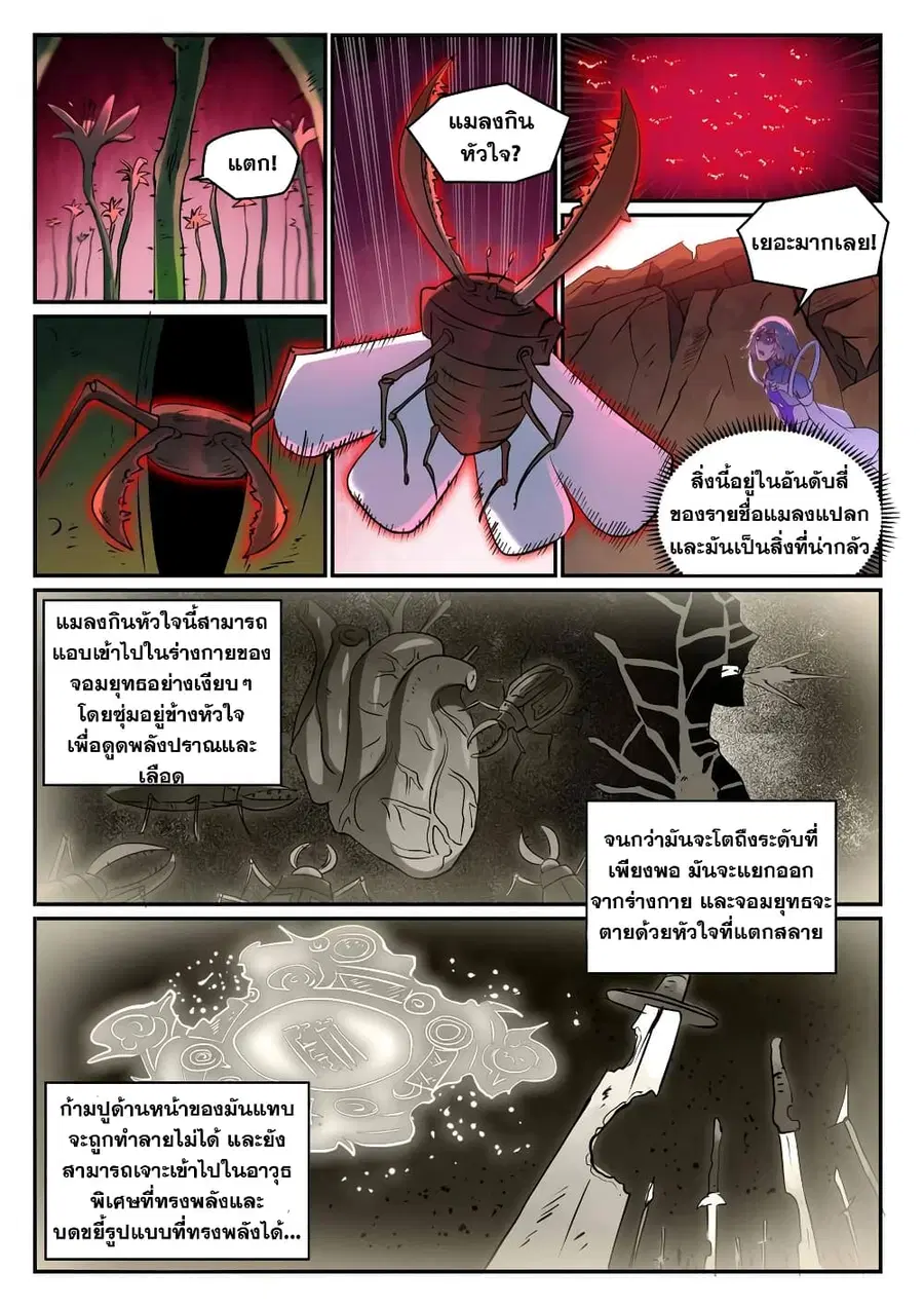 หน้า 11 จาก 13