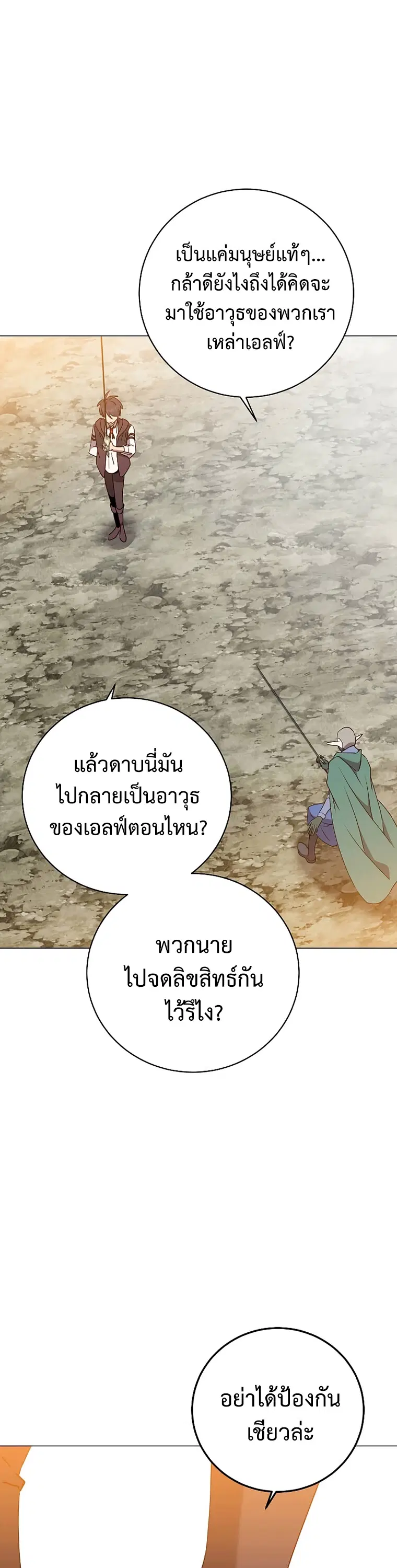 หน้า 13 จาก 42
