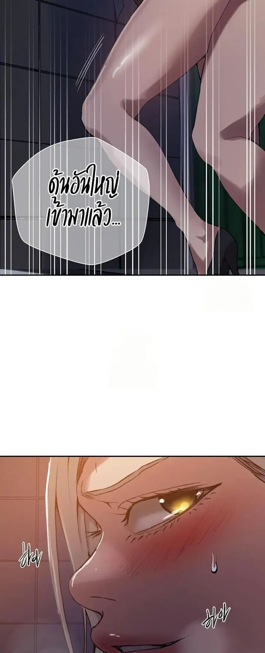 หน้า 48 จาก 50