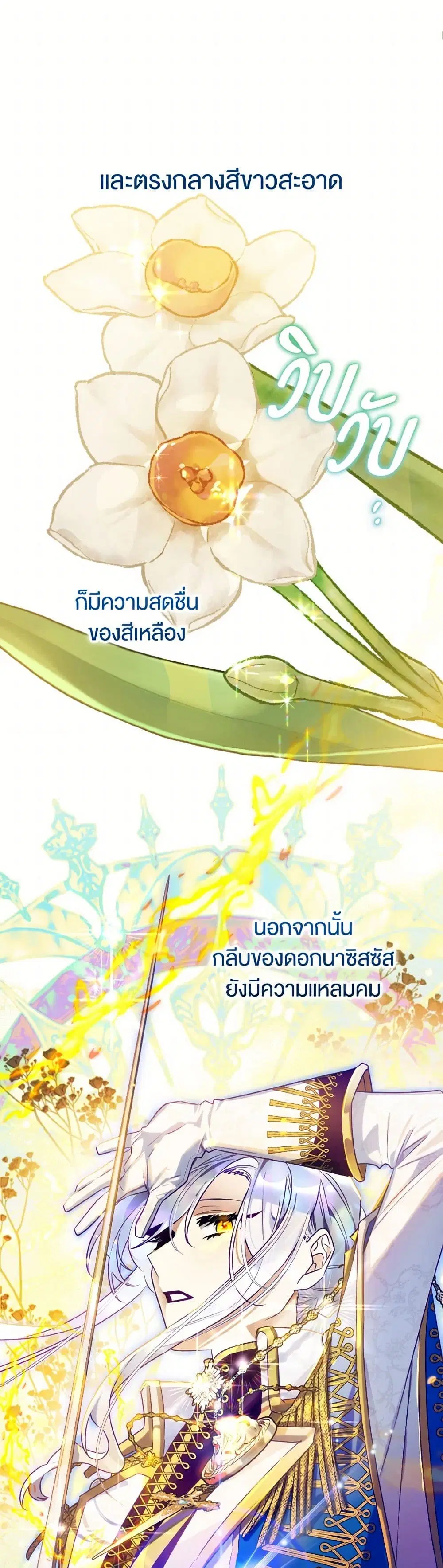 หน้า 28 จาก 41