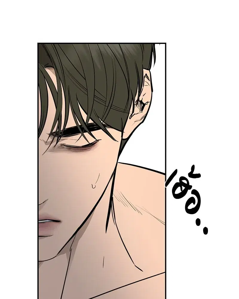 หน้า 50 จาก 109