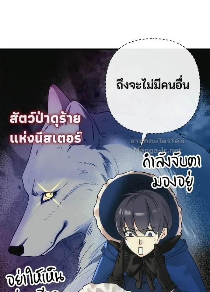 หน้า 11 จาก 158
