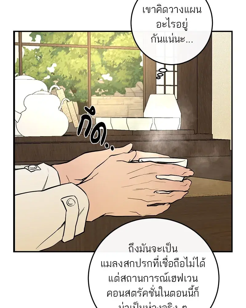 หน้า 38 จาก 157
