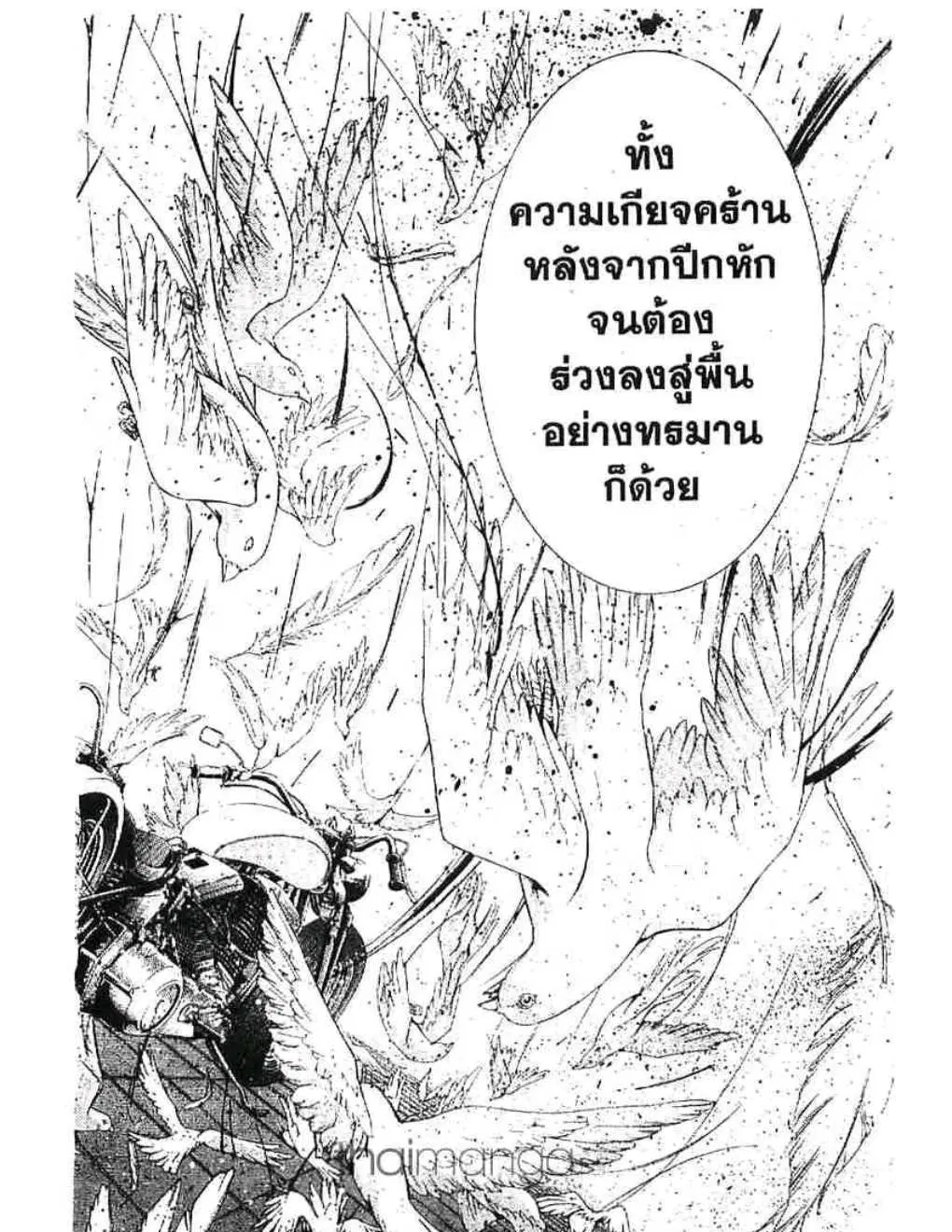 หน้า 11 จาก 18