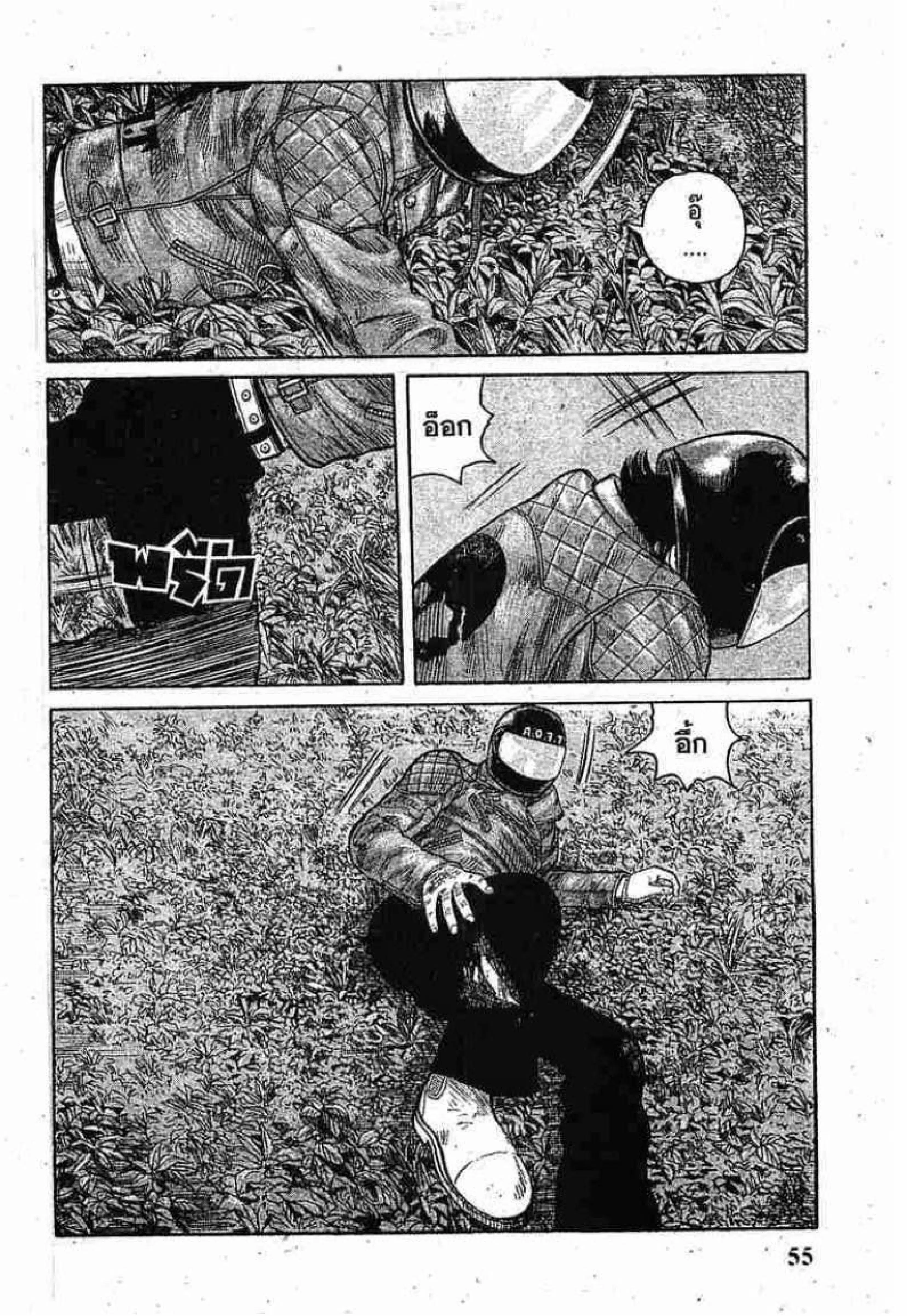 หน้า 3 จาก 52