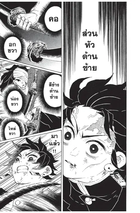 หน้า 11 จาก 20