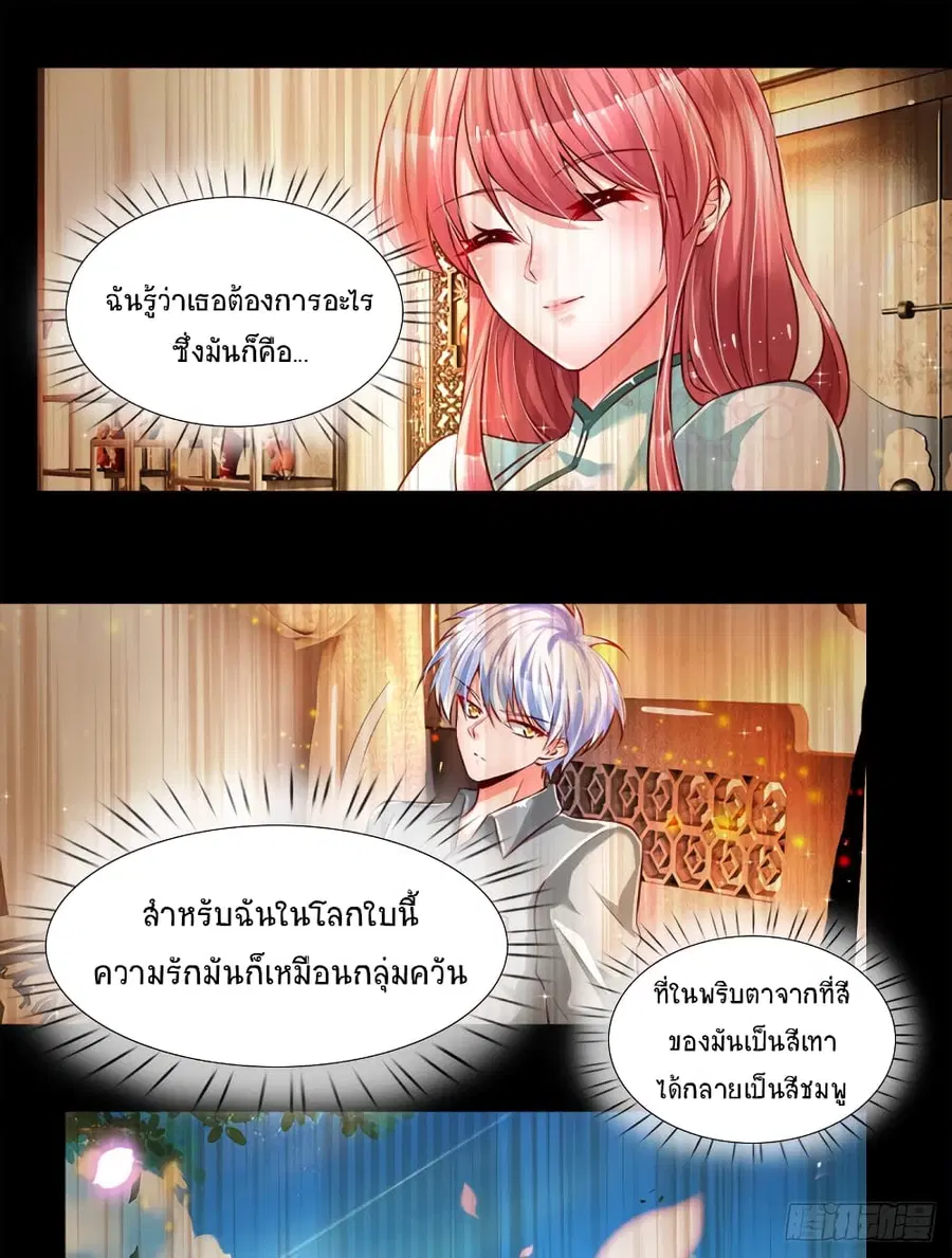 หน้า 21 จาก 29