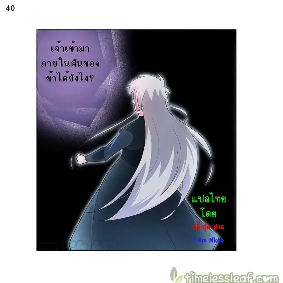 หน้า 41 จาก 43