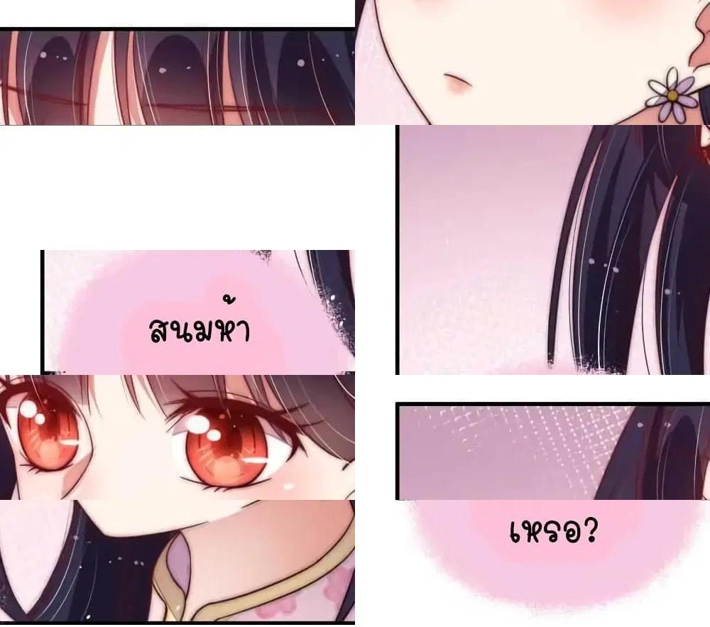 หน้า 5 จาก 12
