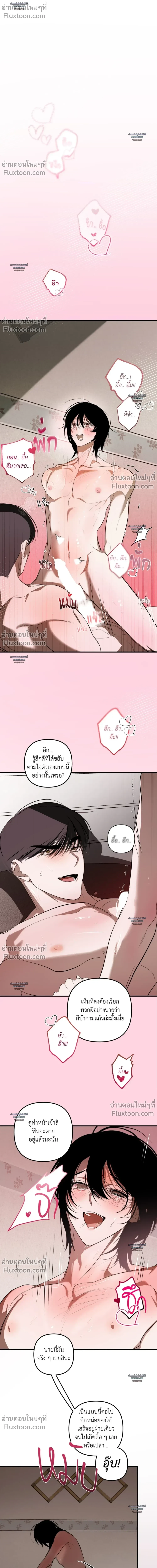 หน้า 36 จาก 40
