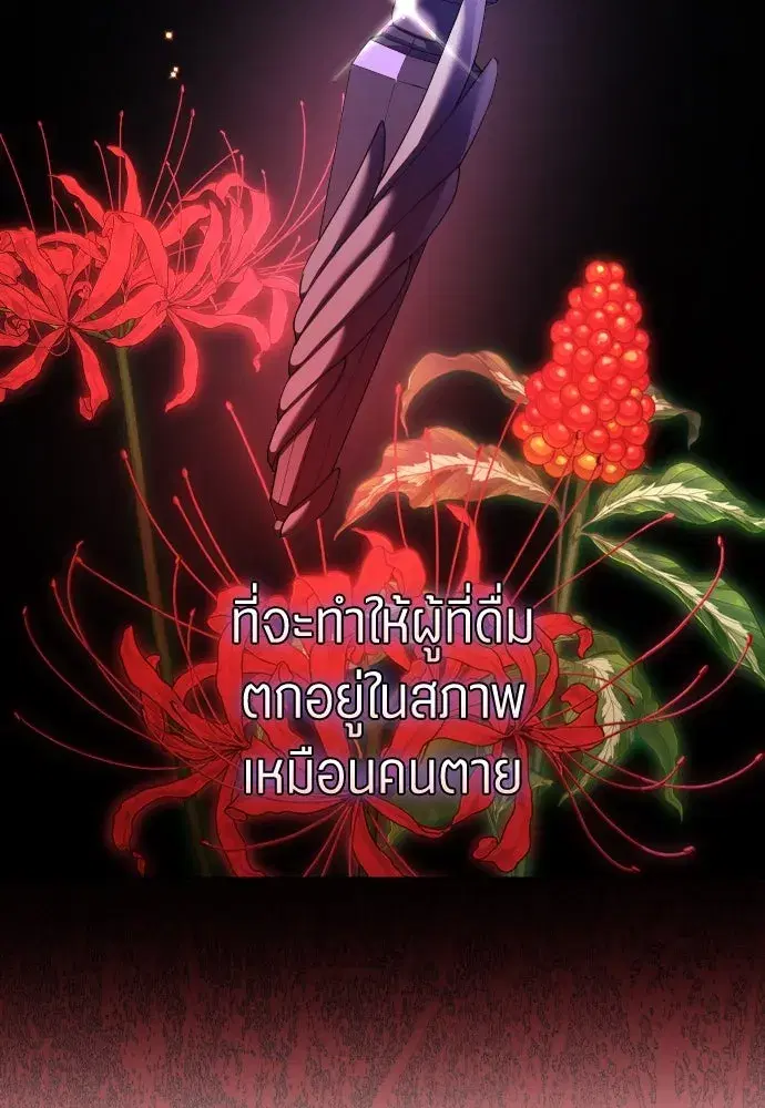 หน้า 19 จาก 137