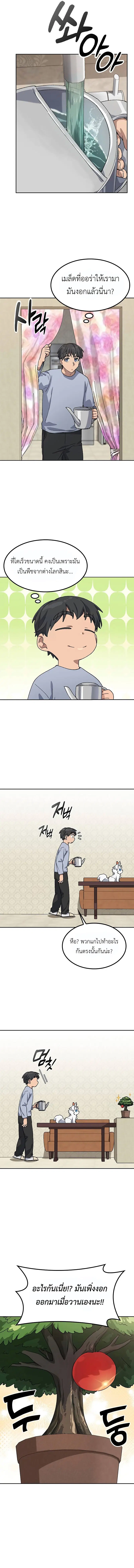 หน้า 13 จาก 15