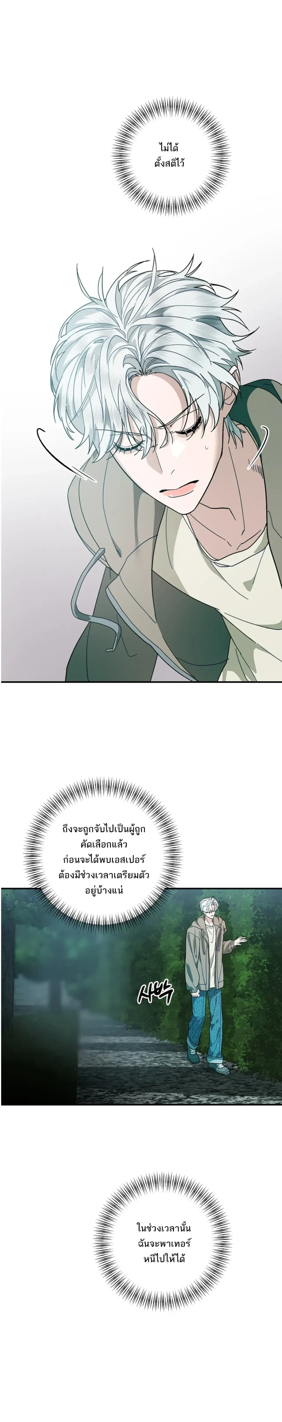 หน้า 31 จาก 36