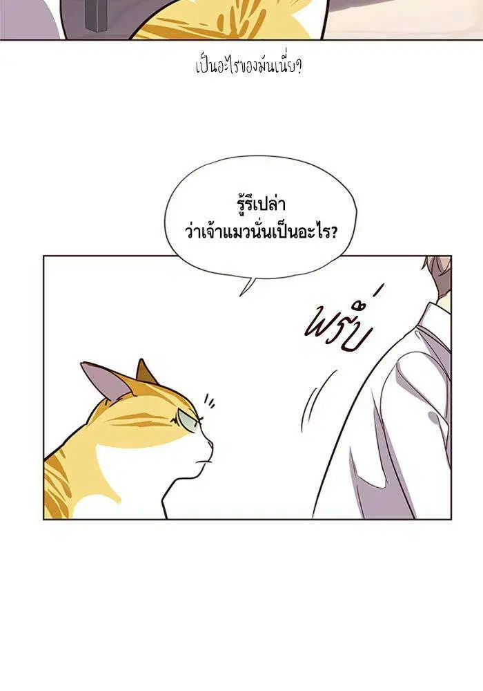 หน้า 26 จาก 81