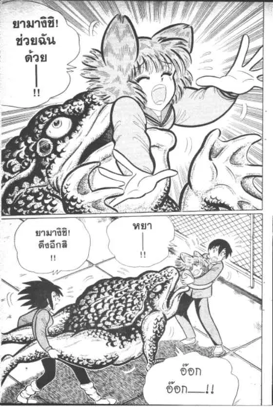 หน้า 8 จาก 10