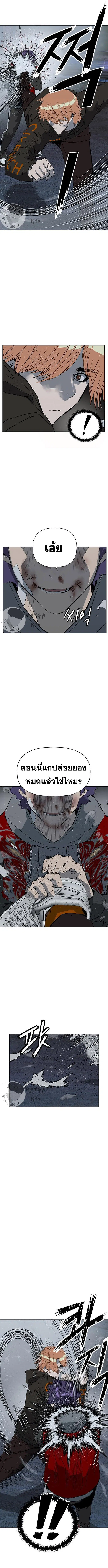 หน้า 7 จาก 19