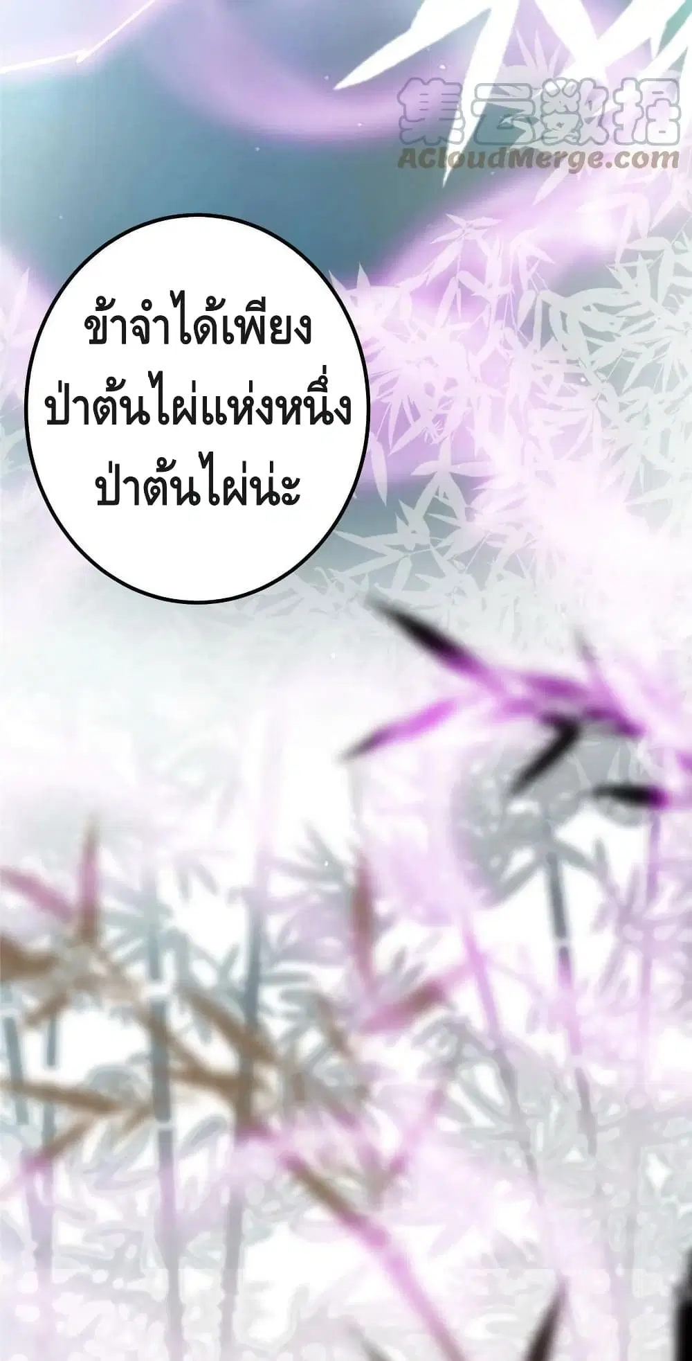 หน้า 23 จาก 42