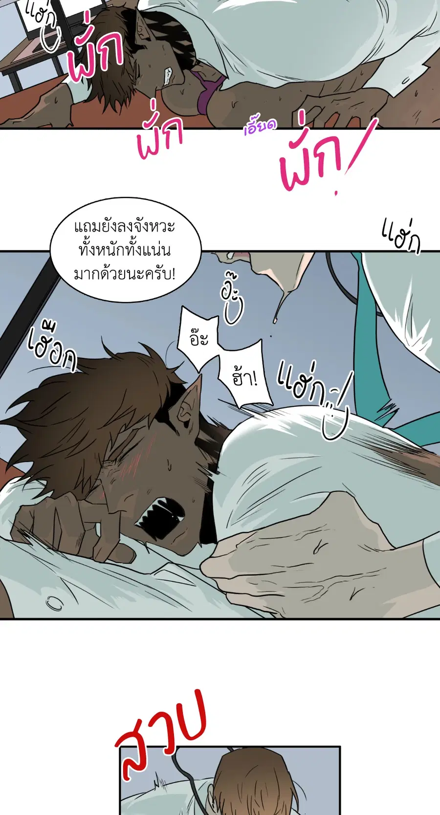 หน้า 17 จาก 55