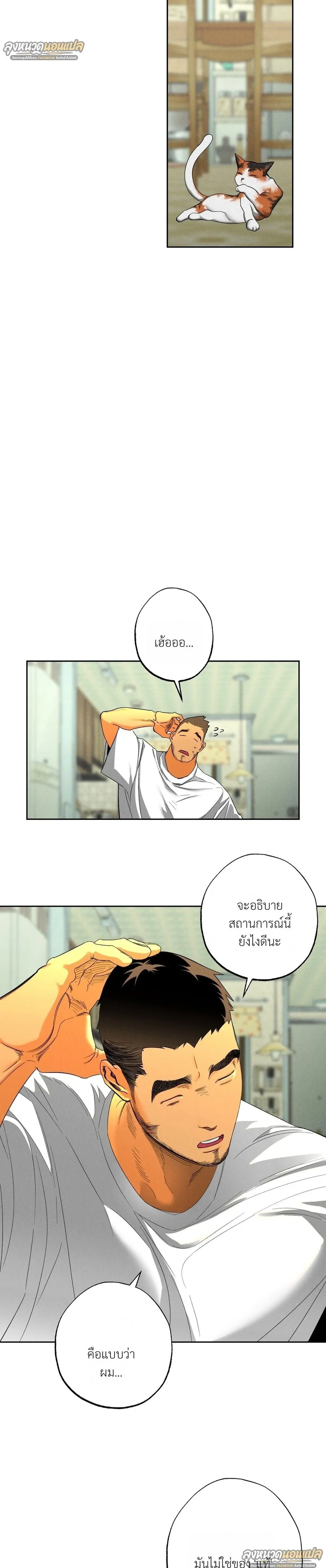 หน้า 21 จาก 40