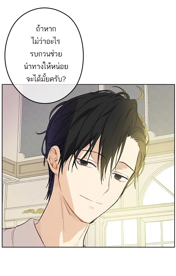 หน้า 52 จาก 85
