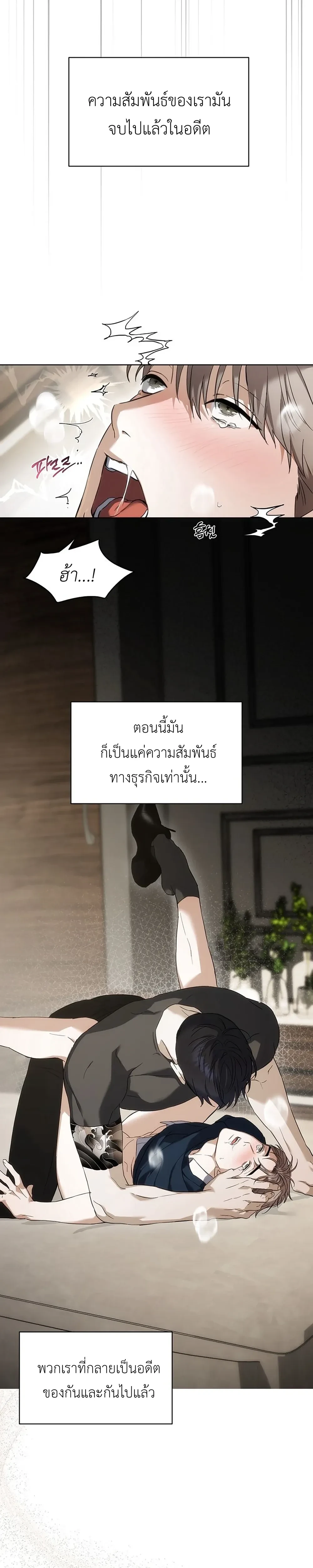 หน้า 11 จาก 30