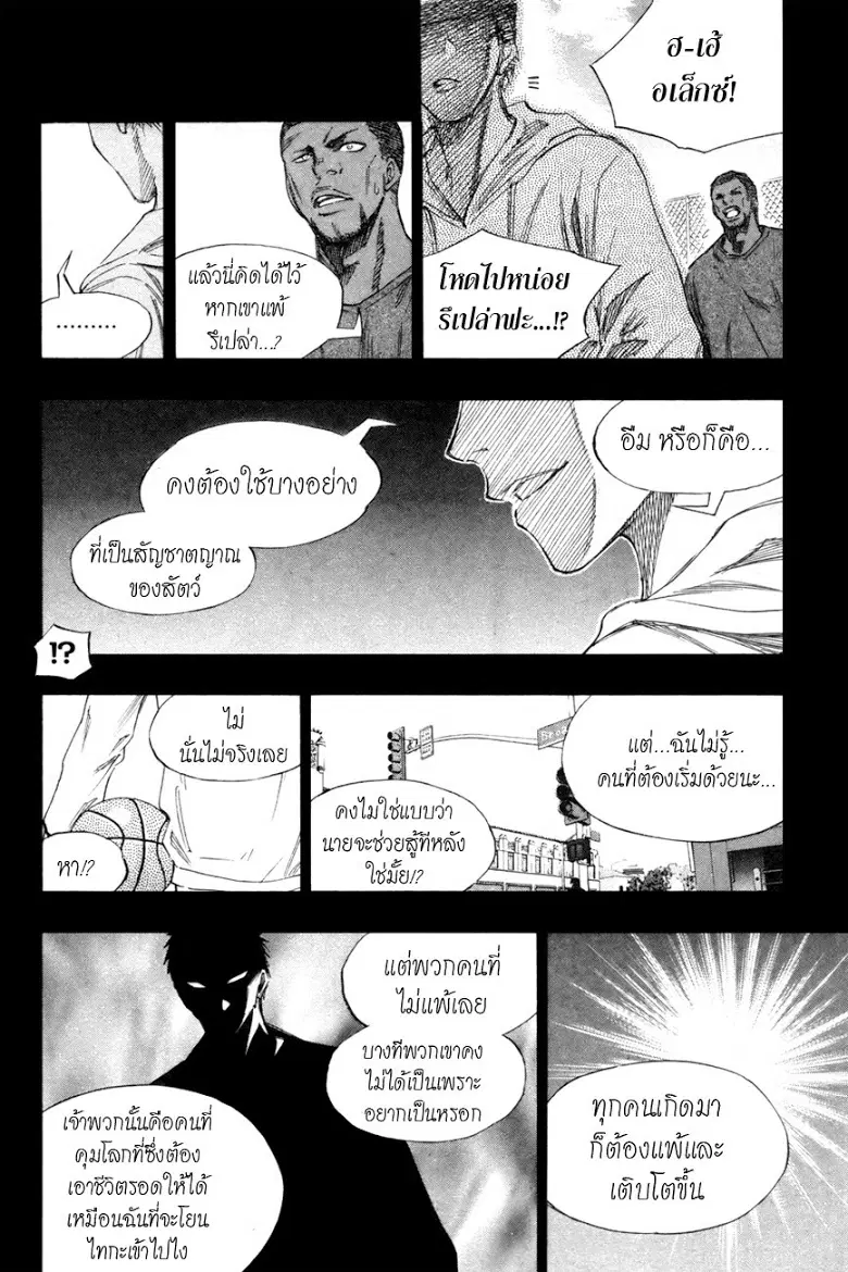 หน้า 8 จาก 19