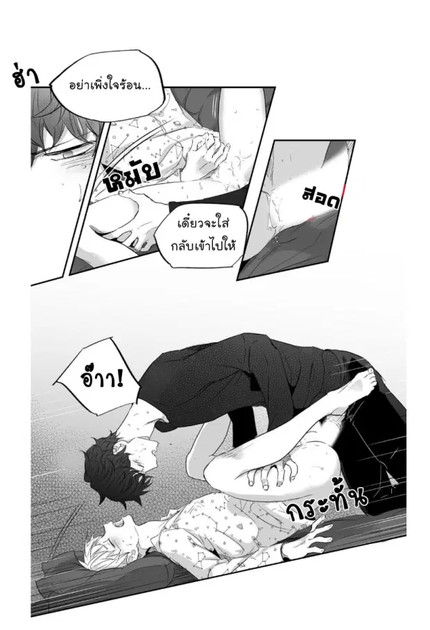 หน้า 23 จาก 41