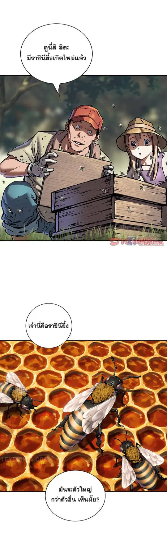 หน้า 21 จาก 26