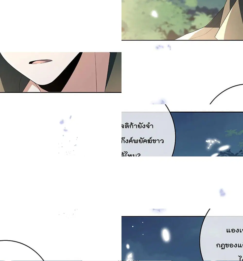 หน้า 11 จาก 13
