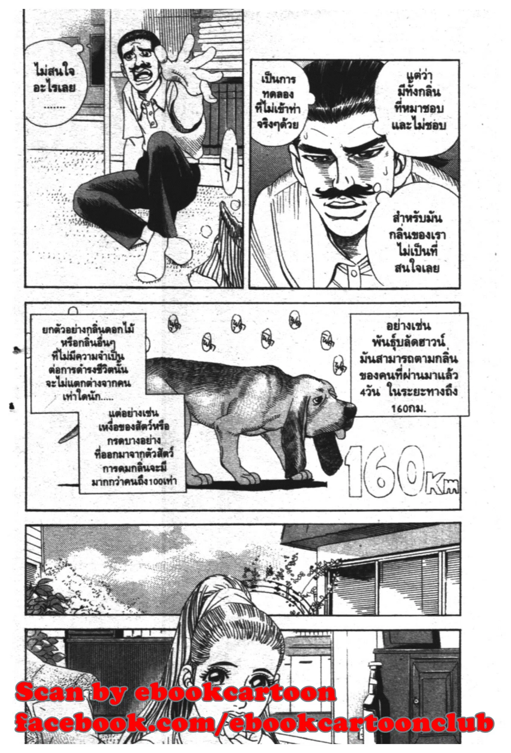 หน้า 8 จาก 19