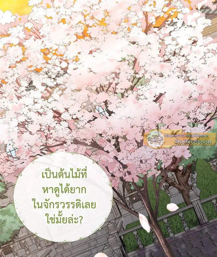 หน้า 94 จาก 125