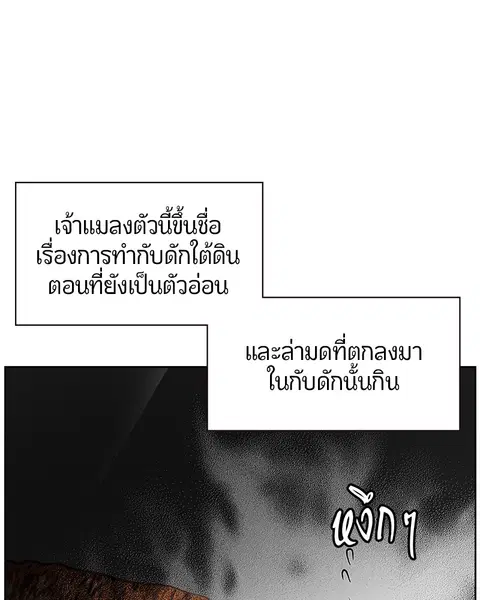 หน้า 108 จาก 171