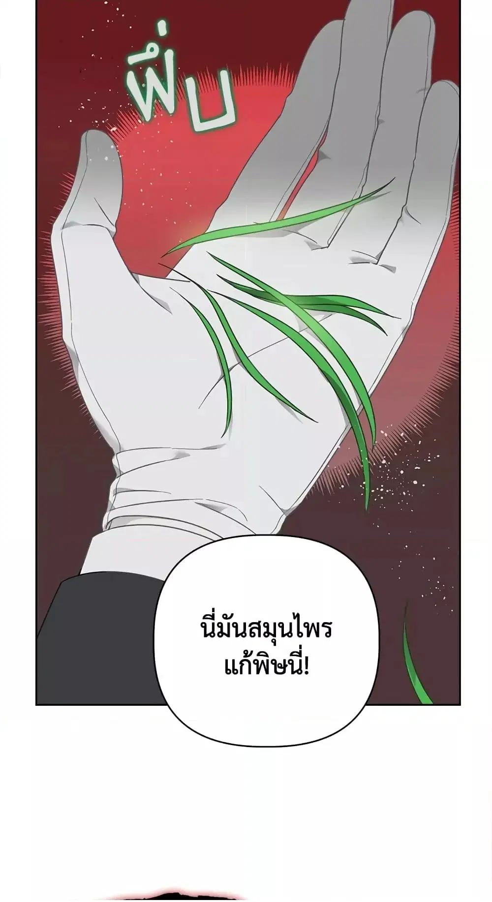 หน้า 28 จาก 62