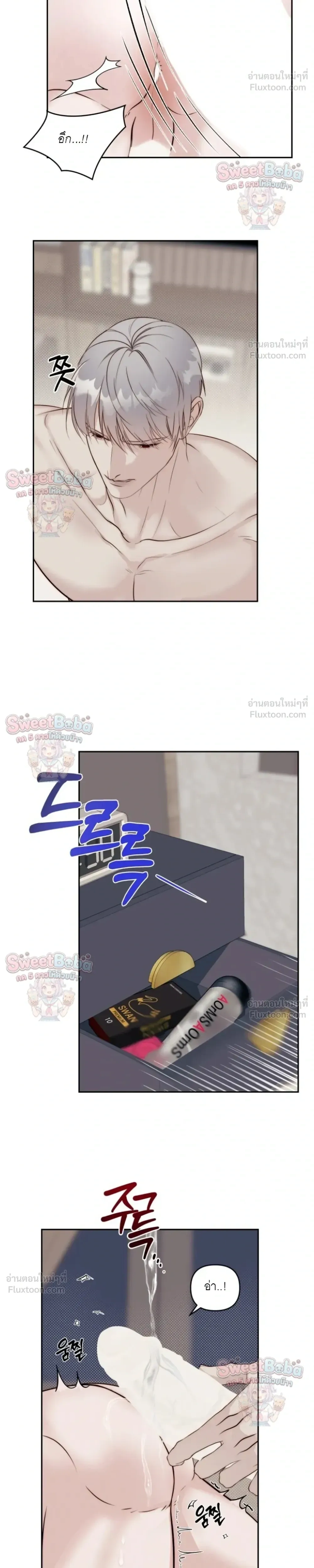 หน้า 13 จาก 52