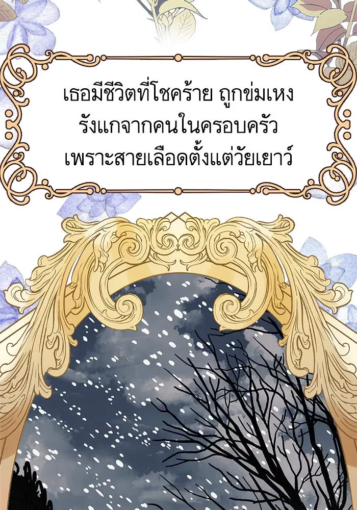 หน้า 42 จาก 117