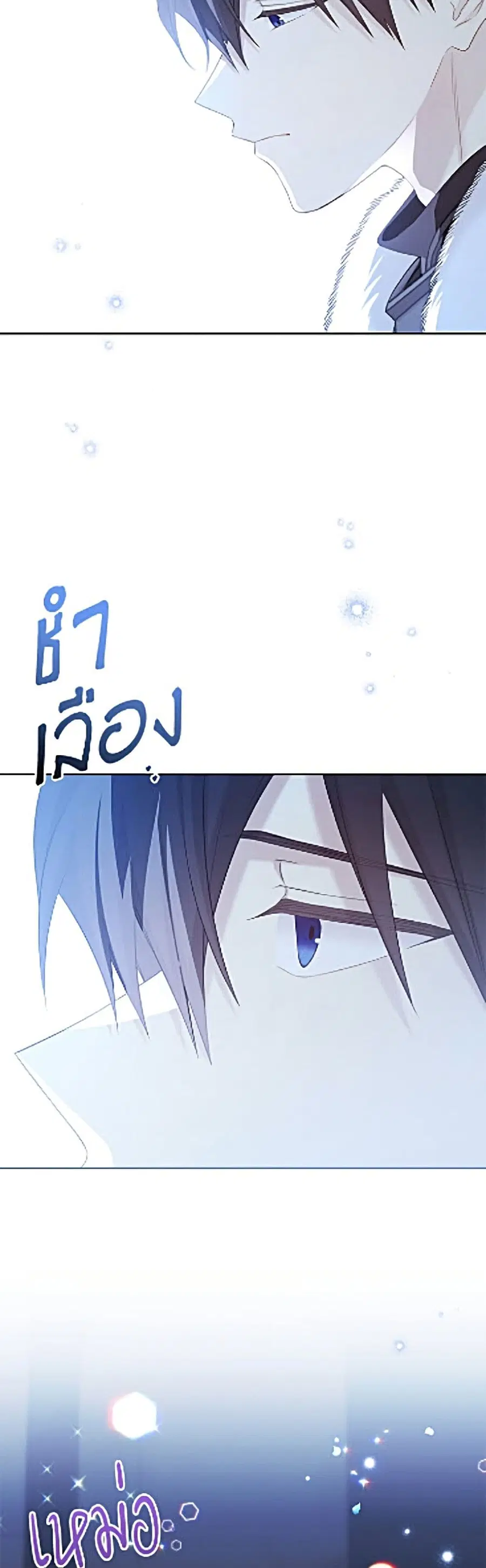หน้า 5 จาก 52