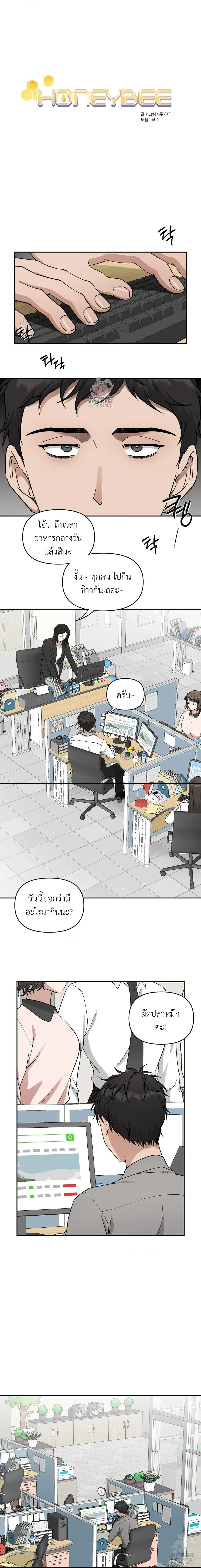 หน้า 1 จาก 13