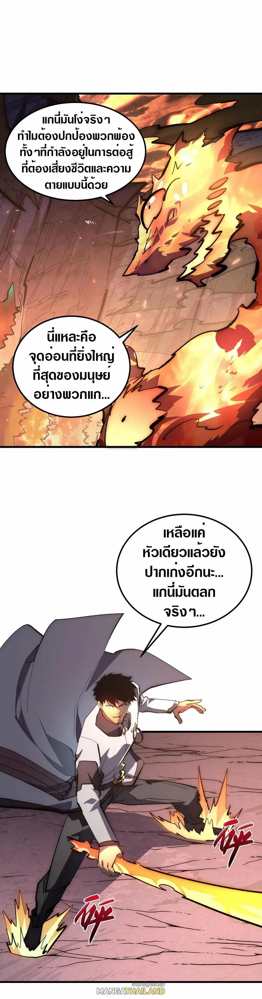 หน้า 8 จาก 30