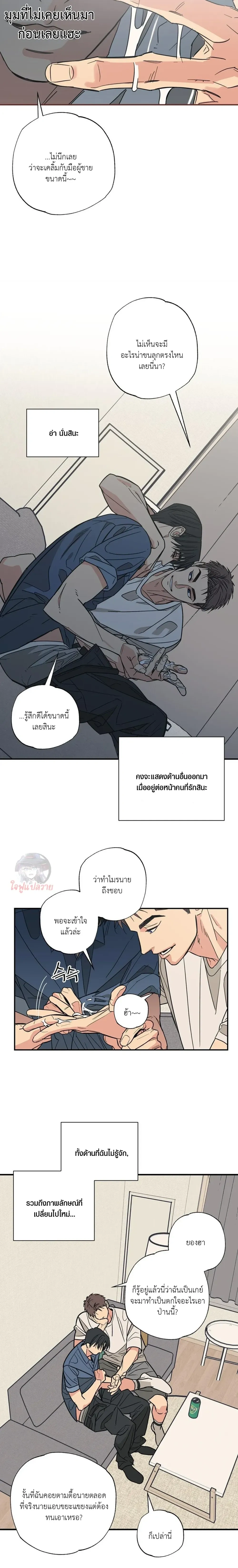 หน้า 15 จาก 19