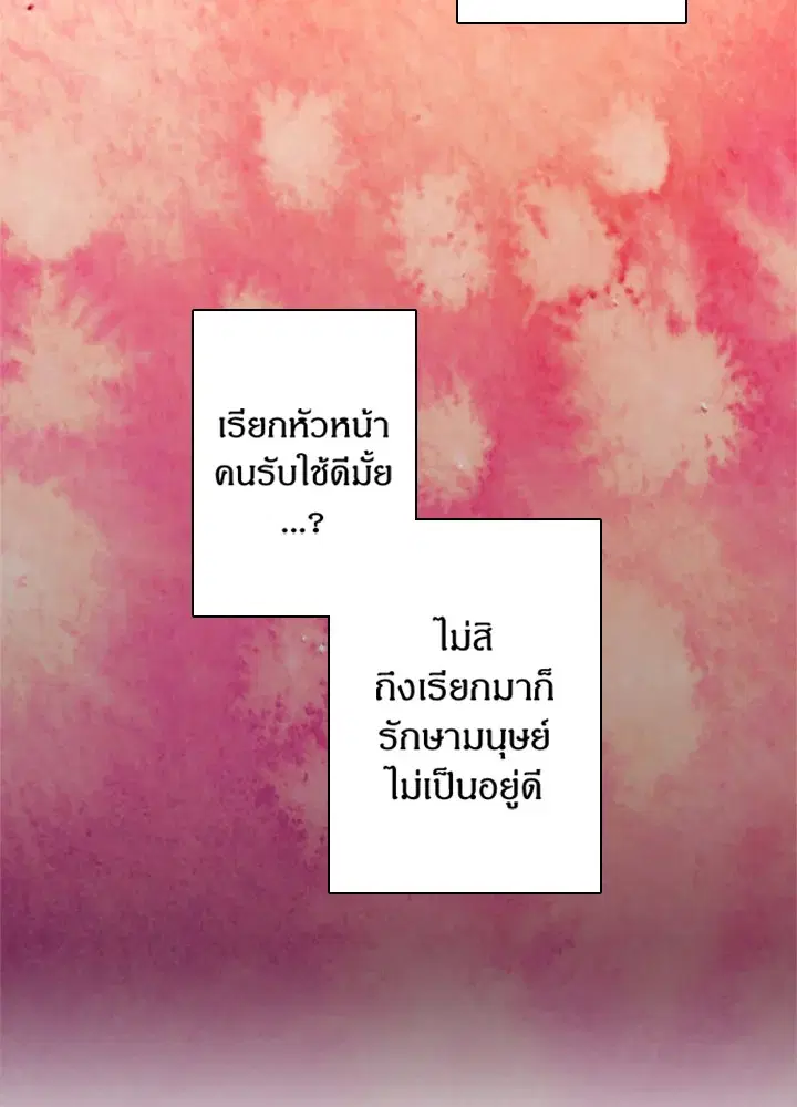 หน้า 13 จาก 52