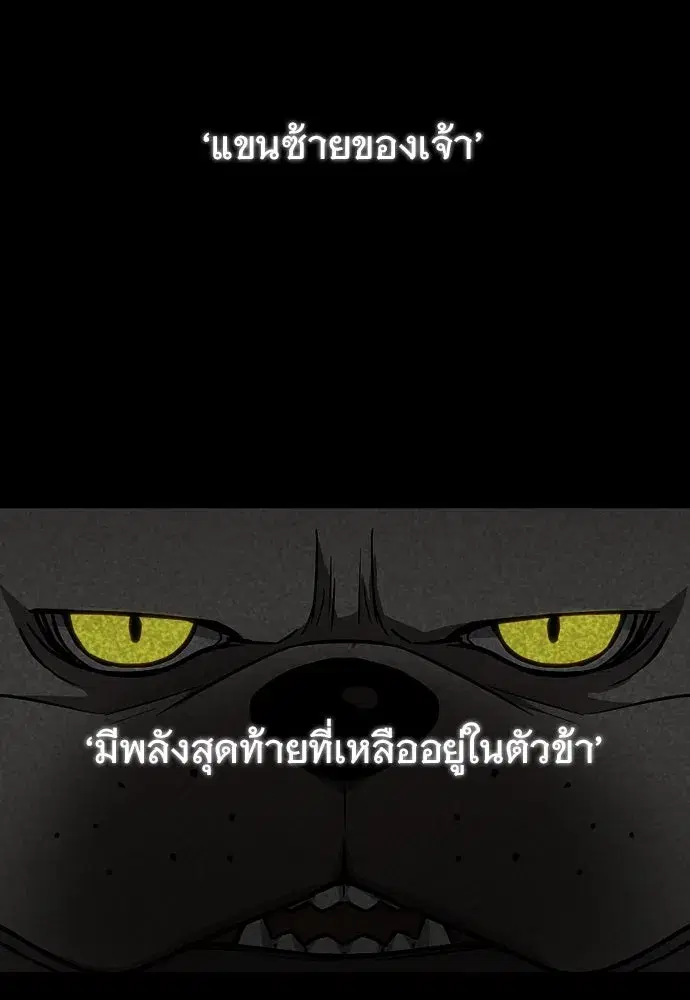 หน้า 100 จาก 147