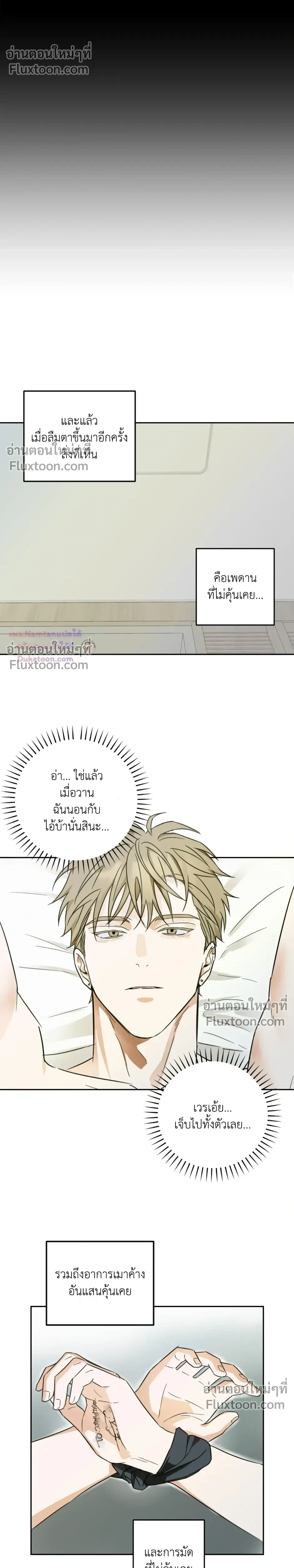 หน้า 17 จาก 19