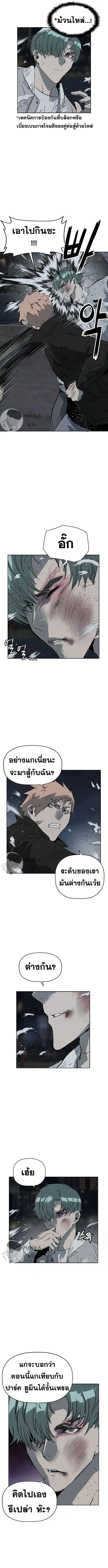 หน้า 6 จาก 17